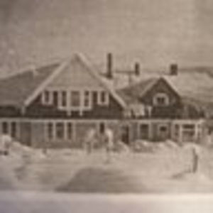 Meet your Posher, Tauna